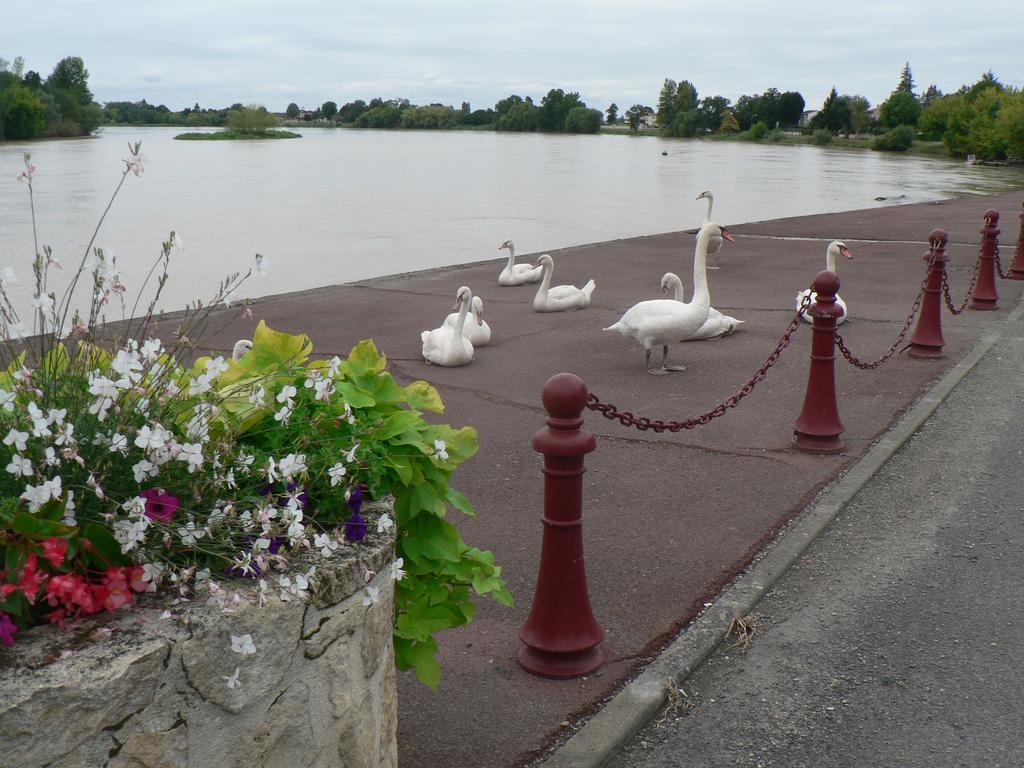 Lacale Face à La Rivière