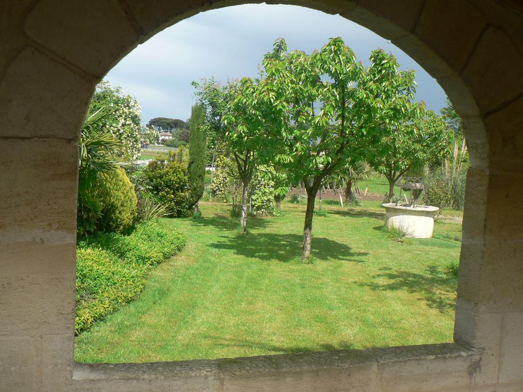 Face Riviere Saint-emilion Vignonet